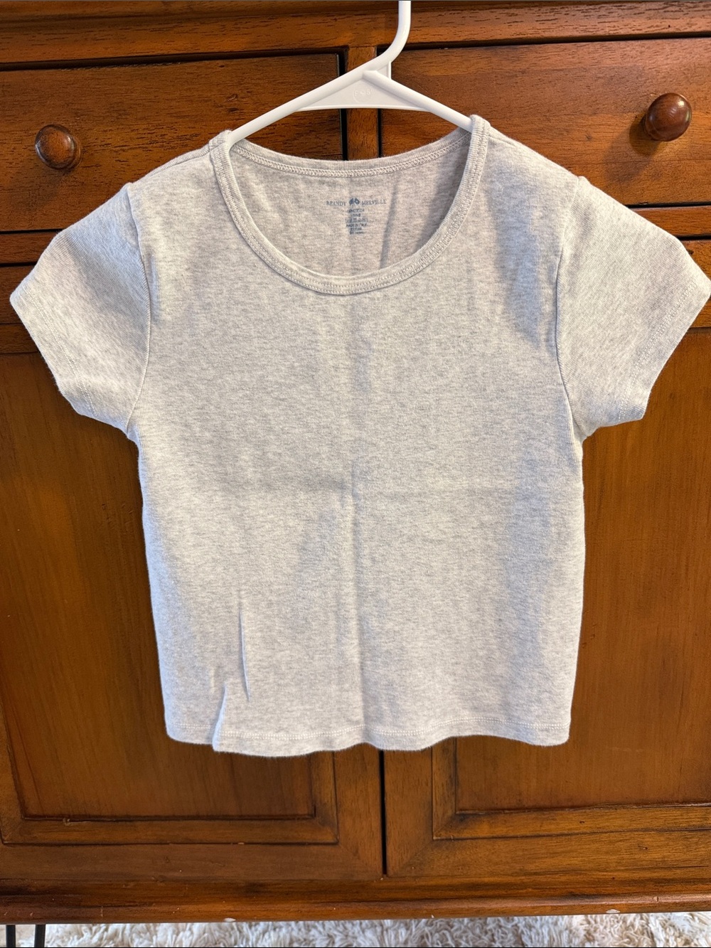 Brandy Melville Light Gray Crop Tee